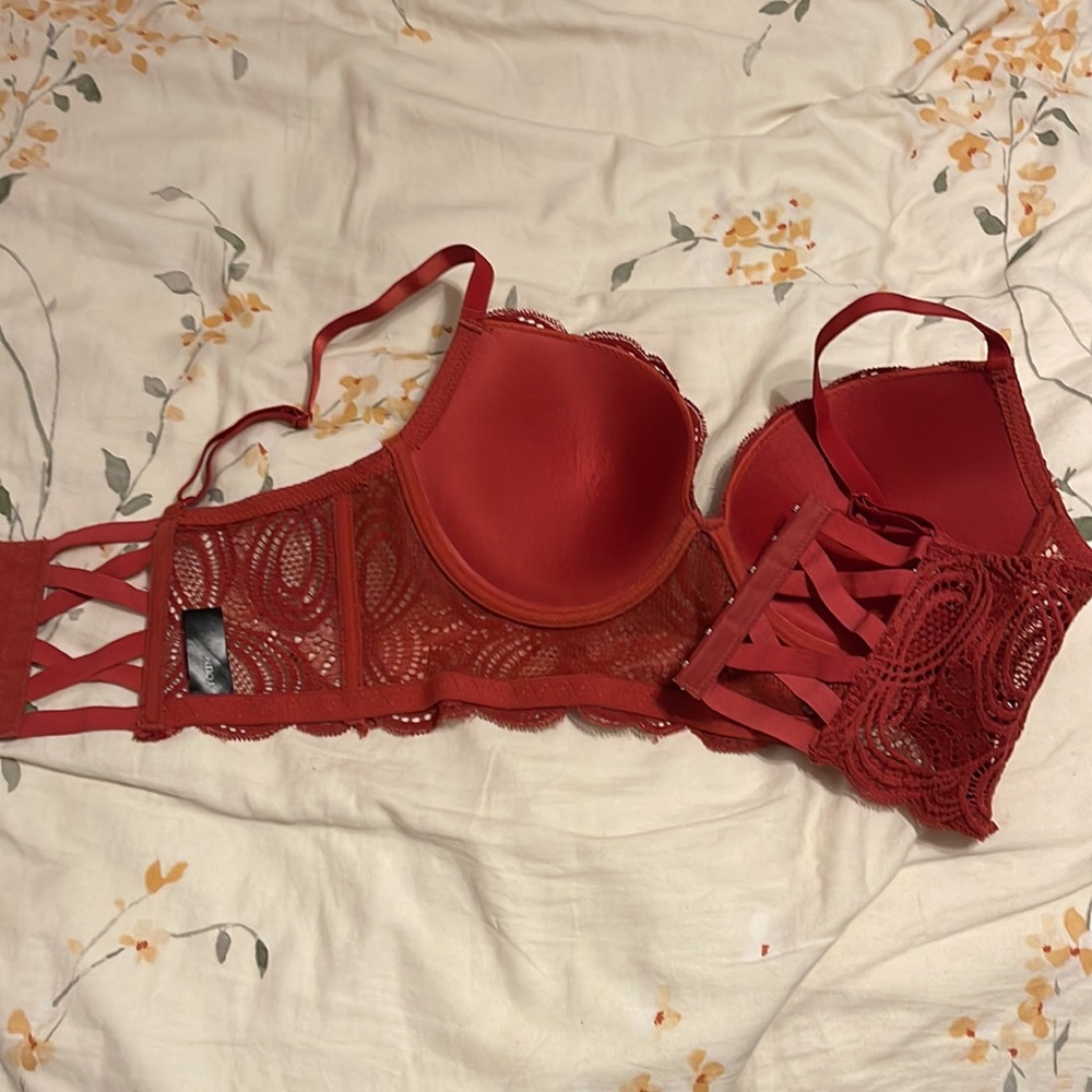 Rust Bra - Picture 2 of 3